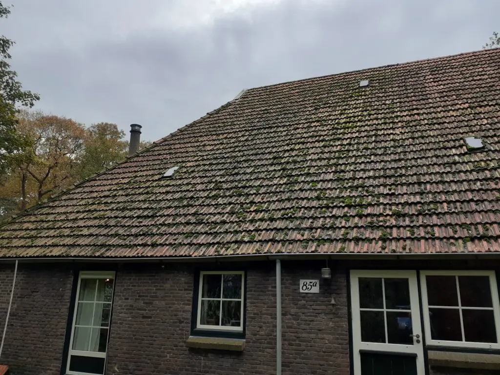 Dak renovatie en interne verbouw Blesdijke