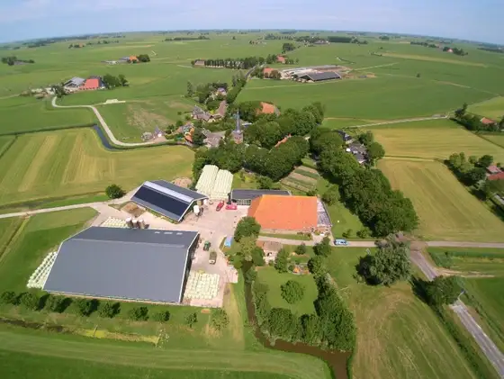 Dakrenovatie jongveestal Waaxens — afbeelding 1