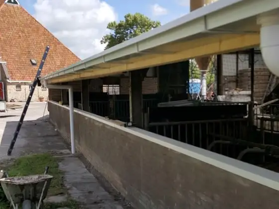 Dakrenovatie jongveestal Waaxens — afbeelding 6