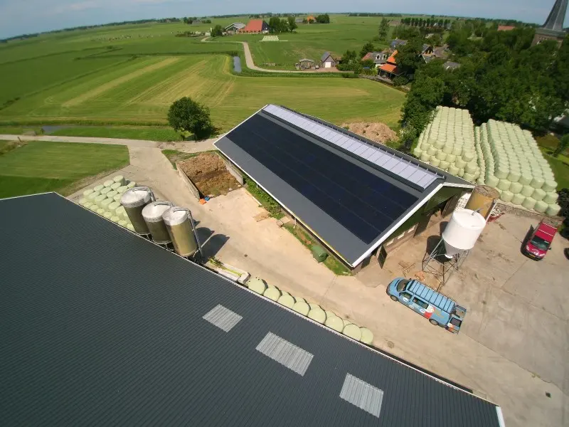 Dakrenovatie jongveestal Waaxens