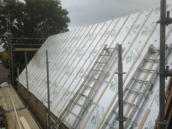 Dakrenovatie woning Witmarsum — afbeelding 2