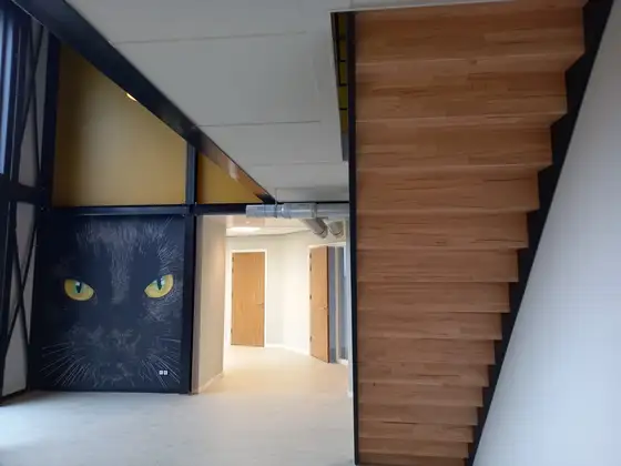 Dierenartsenpraktijk in Workum — afbeelding 16