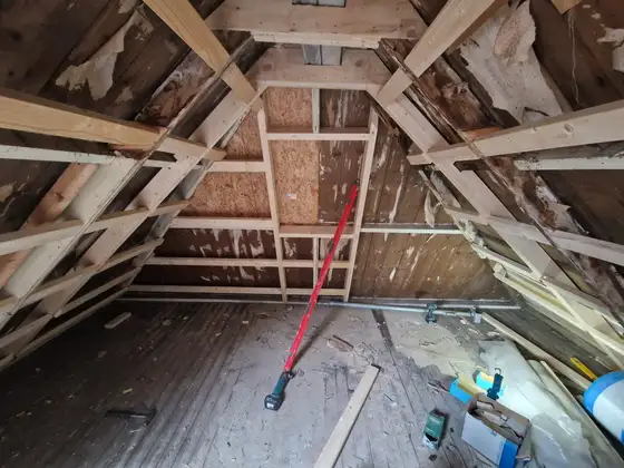 Duurzame renovatie woning in Kimswerd — afbeelding 10
