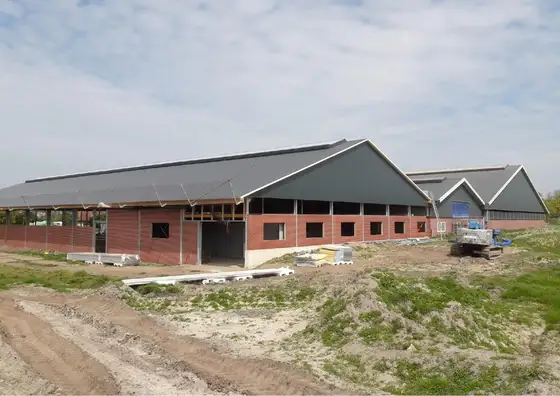 Nieuwbouw Geitenstal in Mirns — afbeelding 2