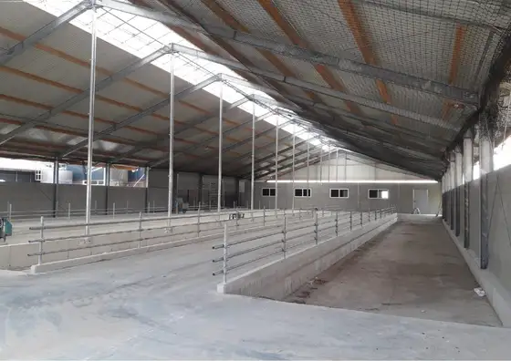 Nieuwbouw Geitenstal in Mirns — afbeelding 3