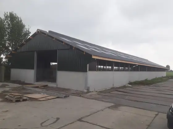 Nieuwbouw jongveestal en verbouwing in Brantgum — afbeelding 1