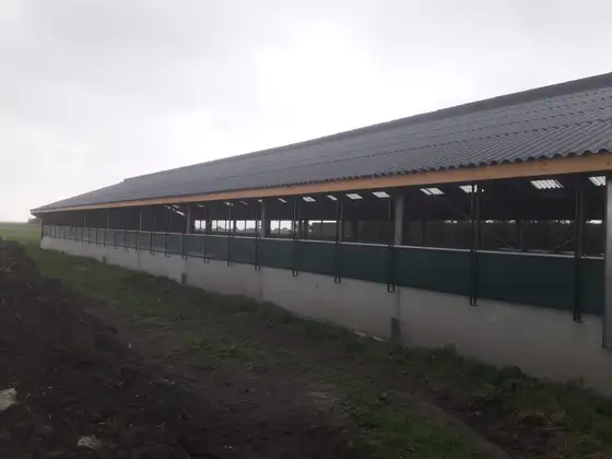Nieuwbouw jongveestal en verbouwing in Brantgum — afbeelding 2