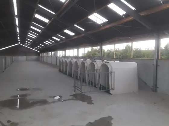 Nieuwbouw jongveestal en verbouwing in Brantgum — afbeelding 3