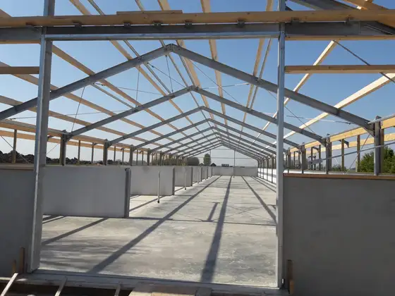 Nieuwbouw jongveestal en verbouwing in Brantgum — afbeelding 4