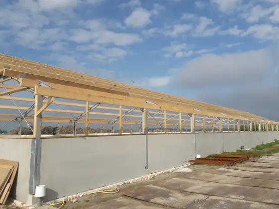 Nieuwbouw jongveestal en verbouwing in Brantgum — afbeelding 5