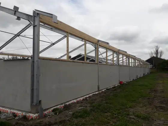Nieuwbouw jongveestal en verbouwing in Brantgum — afbeelding 7