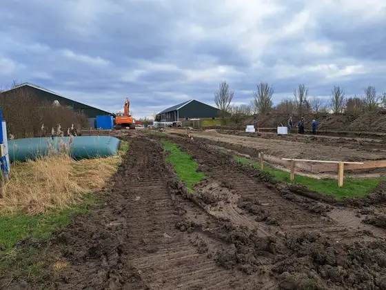 Nieuwbouw jongveestal en verbouwing in Brantgum — afbeelding 11