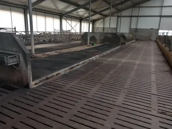 Nieuwbouw jongveestal en verbouwing in Brantgum — afbeelding 13