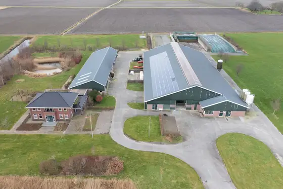 Nieuwbouw jongveestal en verbouwing in Brantgum — afbeelding 15