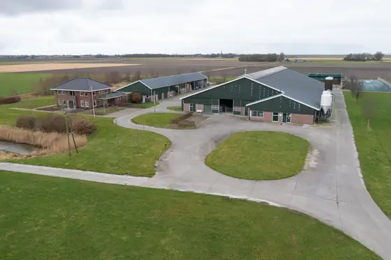 Nieuwbouw jongveestal en verbouwing in Brantgum — afbeelding 16