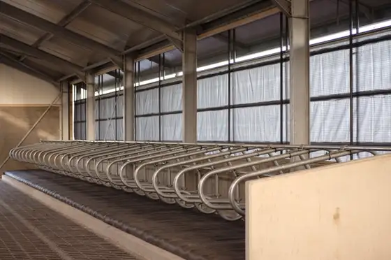 Nieuwbouw ligboxenstal It Heidenskip — afbeelding 5