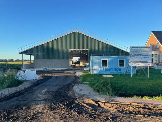 Nieuwbouw rundveestal in Haskerhorne — afbeelding 3