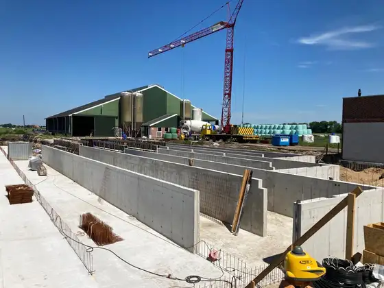 Nieuwbouw rundveestal in Haskerhorne — afbeelding 14