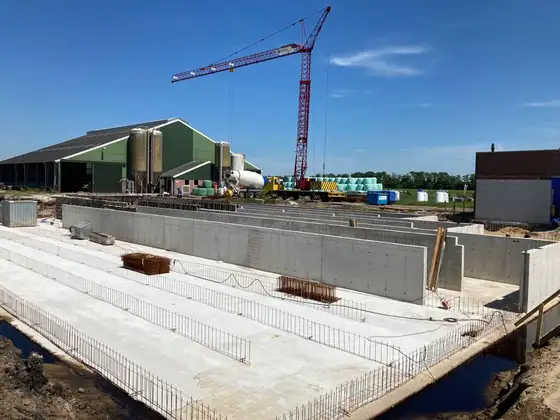 Nieuwbouw rundveestal in Haskerhorne — afbeelding 15