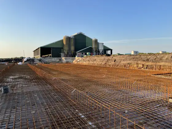 Nieuwbouw rundveestal in Haskerhorne — afbeelding 23
