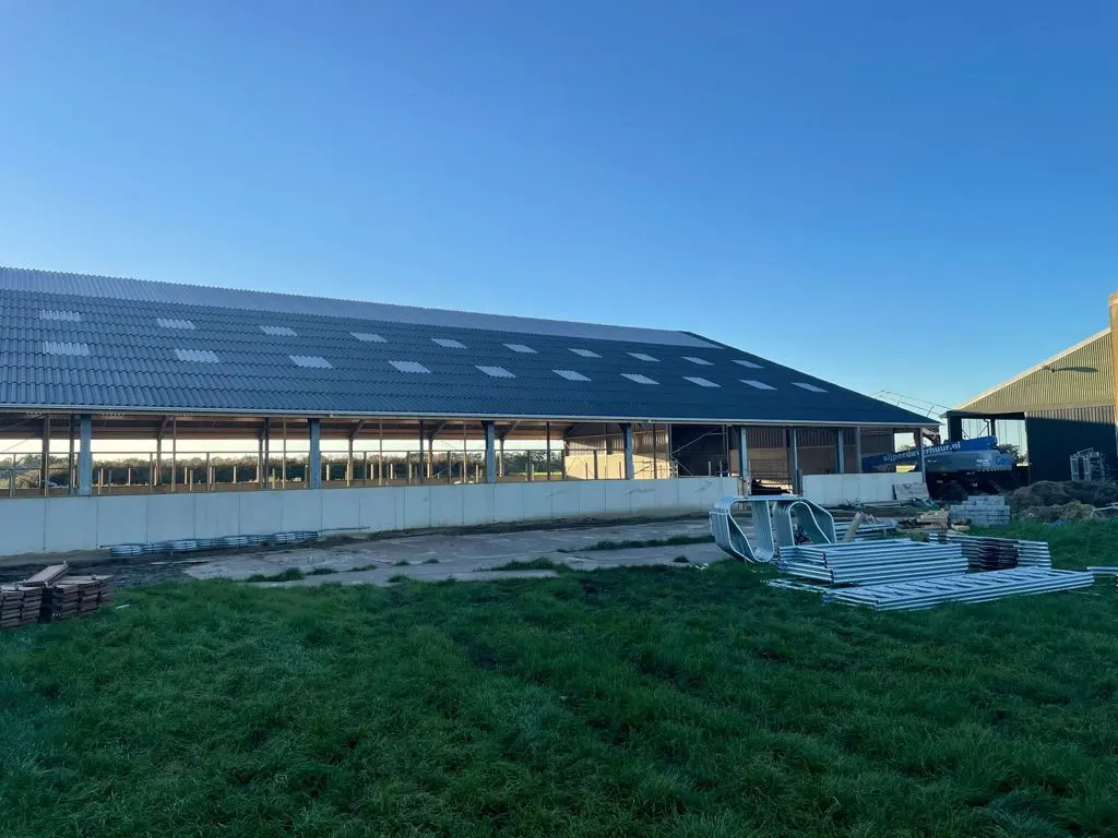 Nieuwbouw rundveestal in Haskerhorne