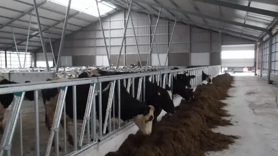 Nieuwbouw stal Exmorra — afbeelding 2
