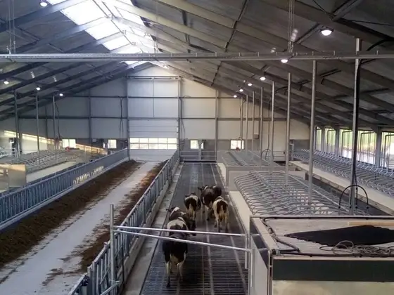 Nieuwbouw stal Nijland — afbeelding 3