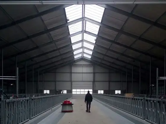Nieuwbouw stal Nijland — afbeelding 4
