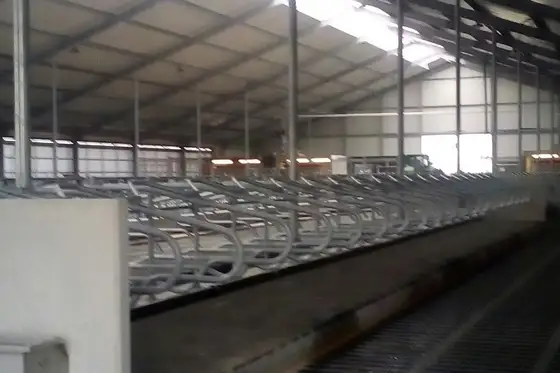 Nieuwbouw stal Nijland — afbeelding 5