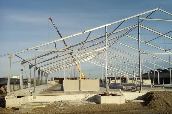 Nieuwbouw stal Nijland — afbeelding 6