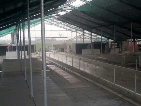 Nieuwbouw stal Nijland — afbeelding 8