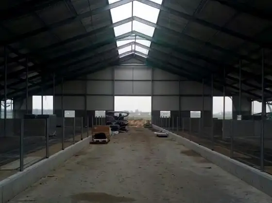 Nieuwbouw stal Nijland — afbeelding 9