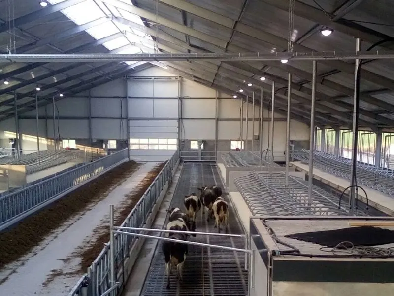 Nieuwbouw stal Nijland
