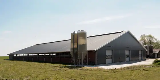 Nieuwbouw melkgeitenstal Mirns — afbeelding 3