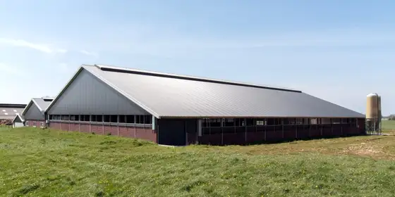 Nieuwbouw melkgeitenstal Mirns — afbeelding 6