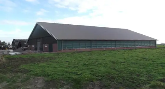 Nieuwbouw stal Lollum — afbeelding 6