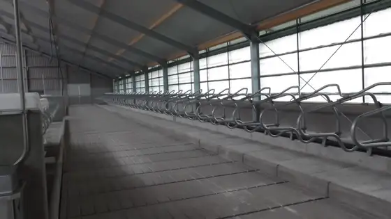 Nieuwbouw stal Lollum — afbeelding 7
