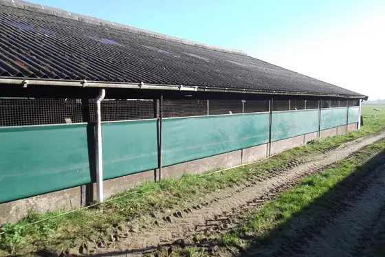 Renovatie jongveestal Lollum — afbeelding 2