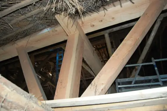 Renovatie woonboerderij Lollum — afbeelding 2