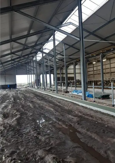 Uitbreiding melkvee stal in Koufurderrige — afbeelding 3
