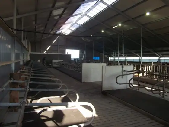 Verbouw Jongveestal Wommels — afbeelding 3