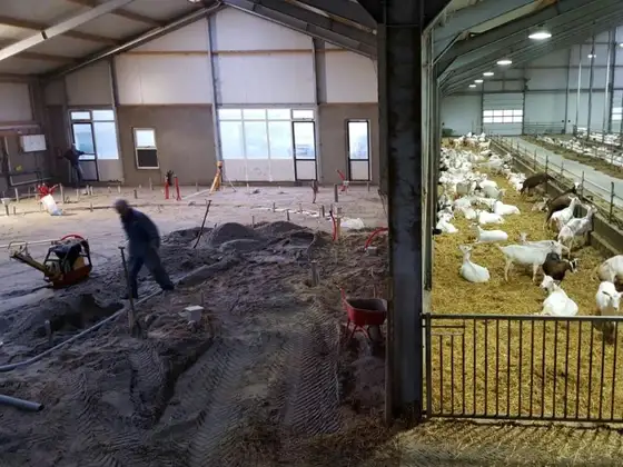Verbouw melkstal Mirns — afbeelding 11